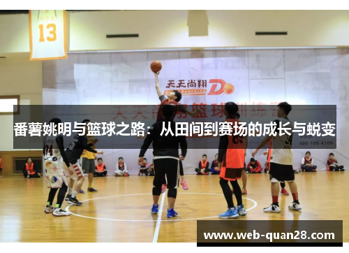番薯姚明与篮球之路：从田间到赛场的成长与蜕变