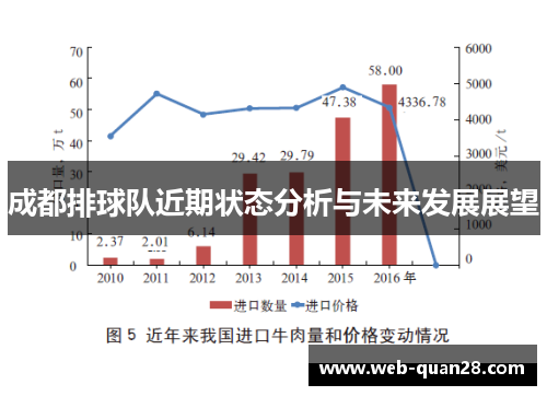 成都排球队近期状态分析与未来发展展望