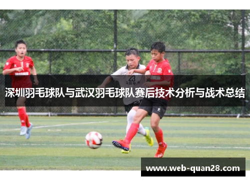 深圳羽毛球队与武汉羽毛球队赛后技术分析与战术总结